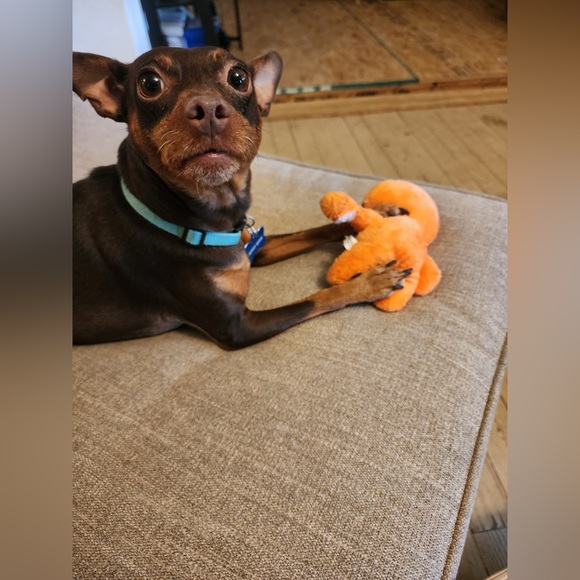 LIKE THIS TO BE NOTIFIED WHEN I AM LIVE!! - Picture 4 of 9